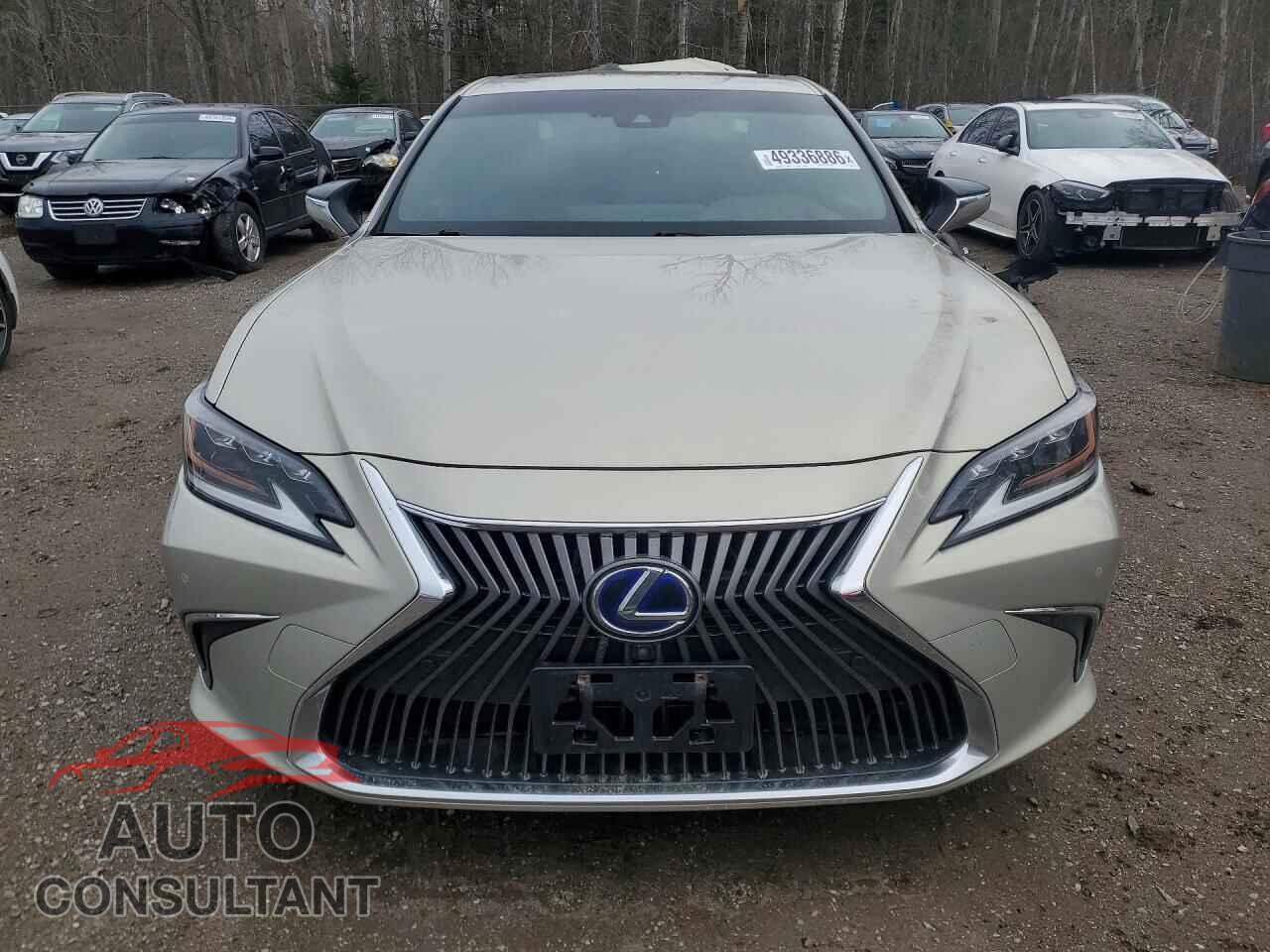 LEXUS ES300 2019 - JTHB21B11K2012033