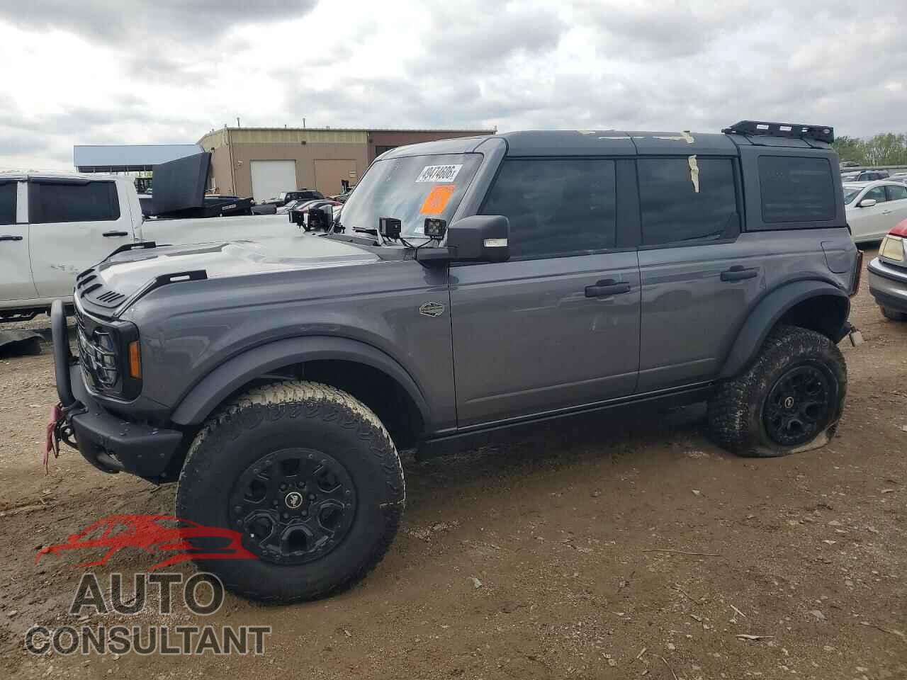 FORD BRONCO 2024 - 1FMEE2BP1RLA66416