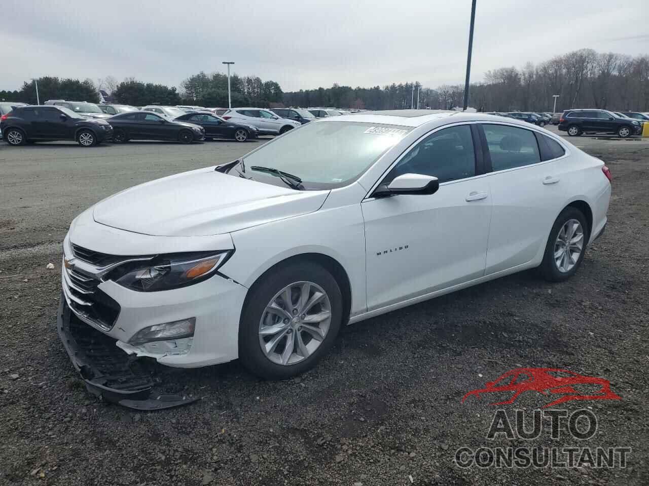 CHEVROLET MALIBU 2024 - 1G1ZD5STXRF106183