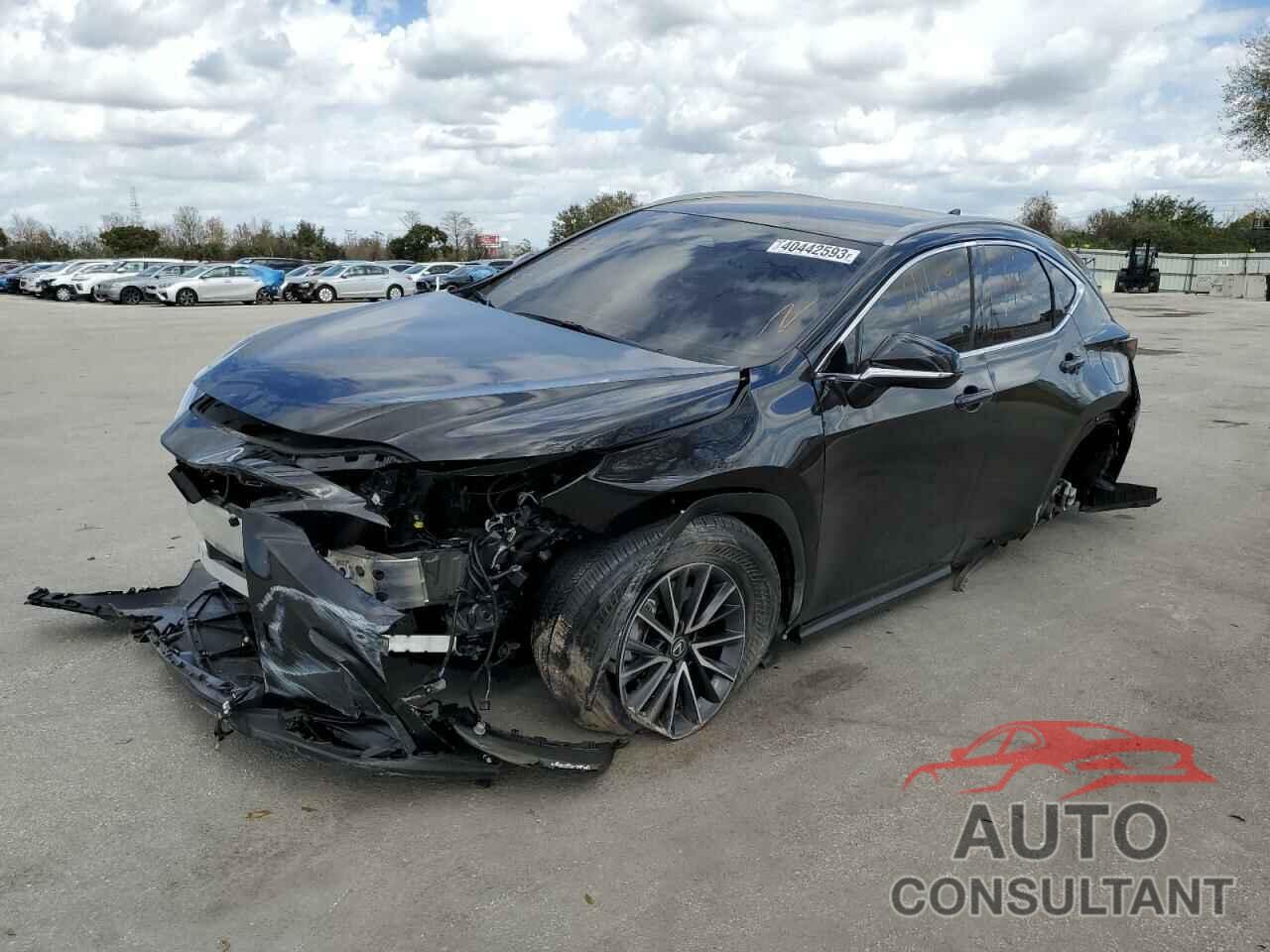 LEXUS NX 250 2023 - 2T2ADCAZ2PC003193
