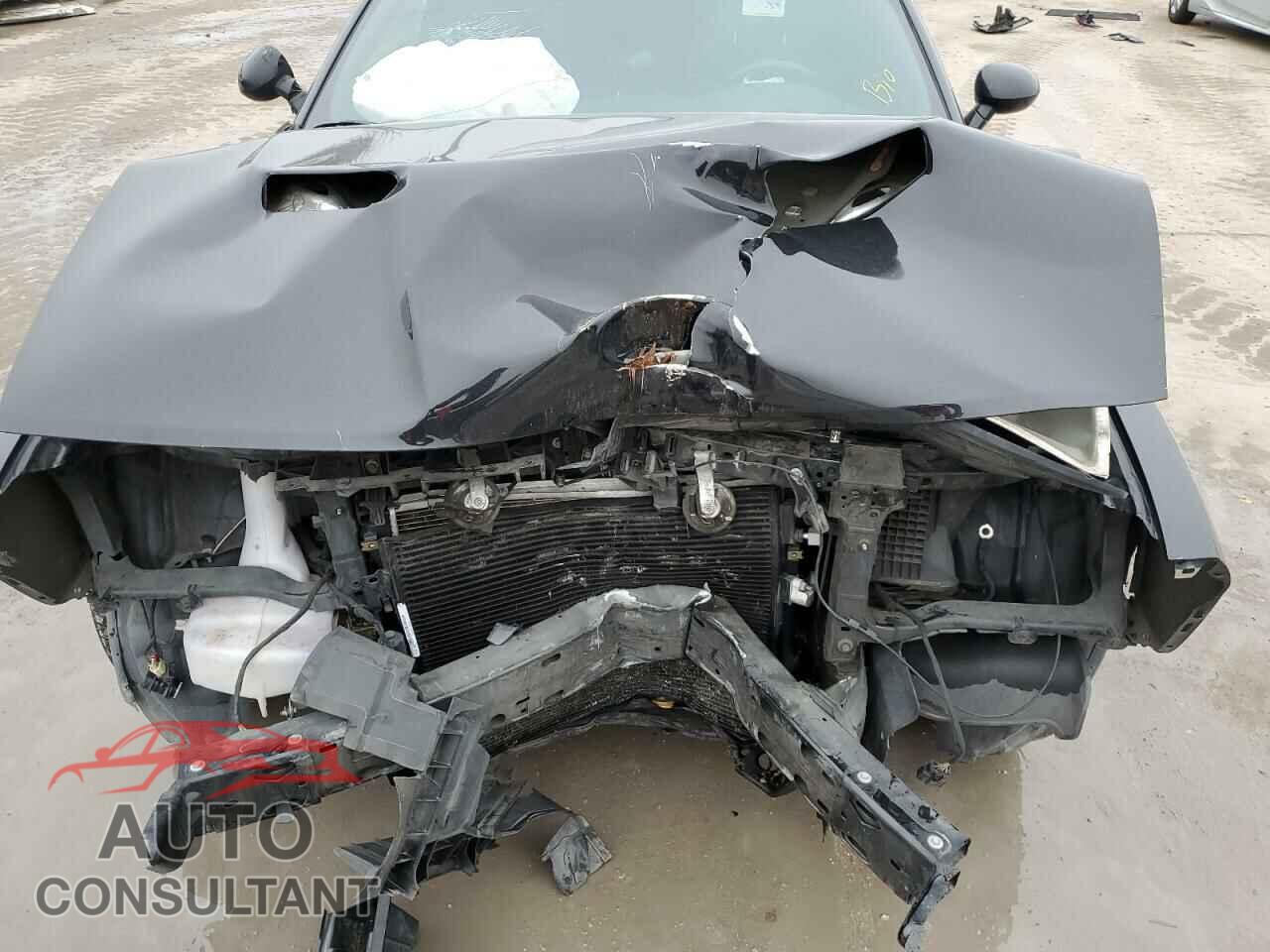 DODGE CHALLENGER 2019 - 2C3CDZAG0KH501765