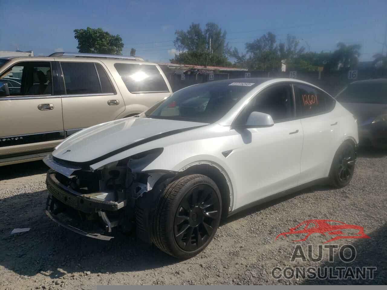 TESLA MODEL Y 2022 - 7SAYGAEE5NF433172