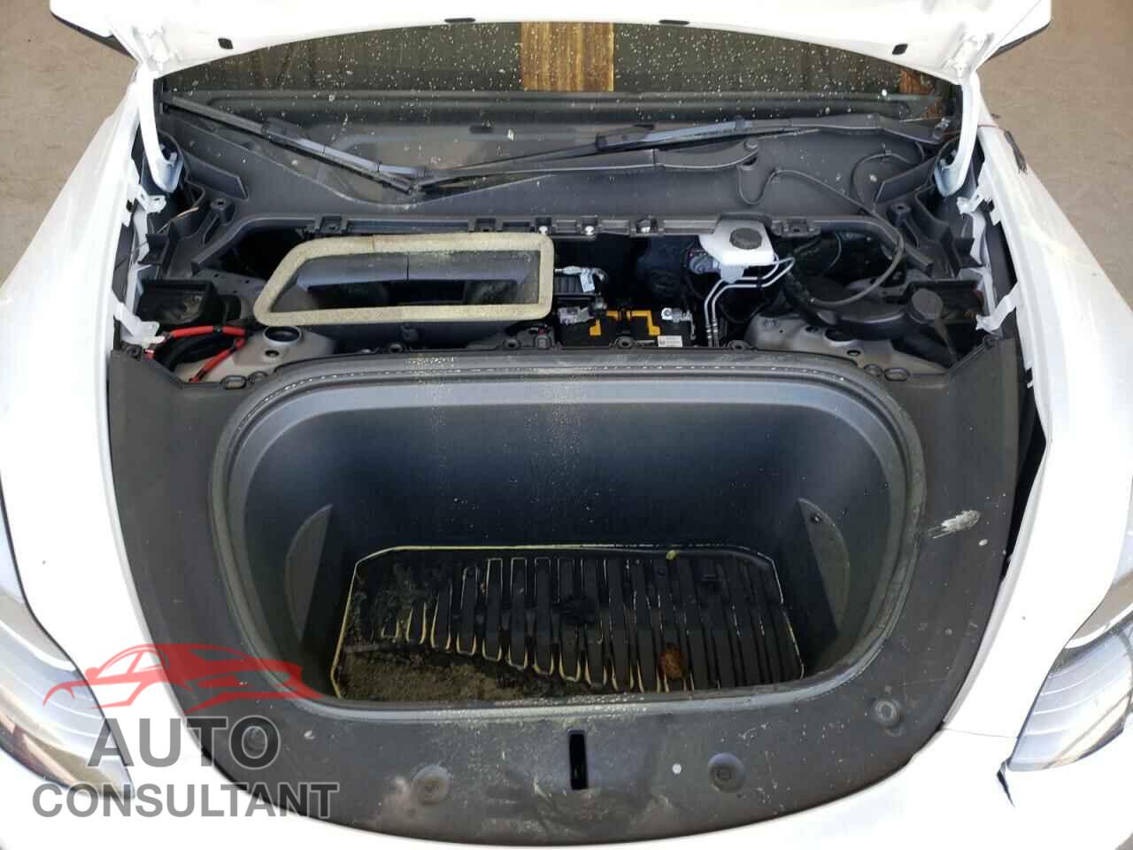 TESLA MODEL Y 2021 - 5YJYGDEE5MF175779