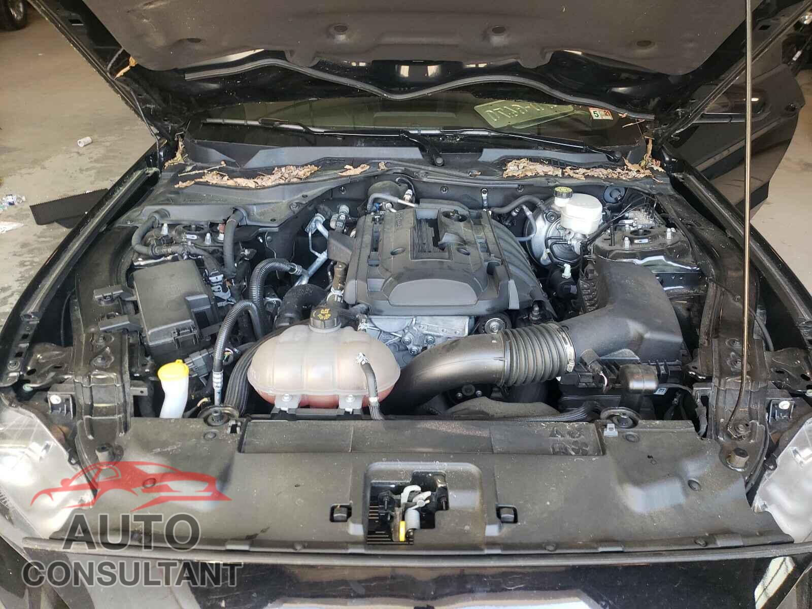 FORD MUSTANG 2019 - 1FA6P8TH0K5180808