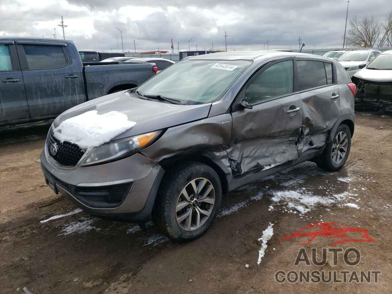 KIA SPORTAGE 2016 - KNDPBCAC8G7807371