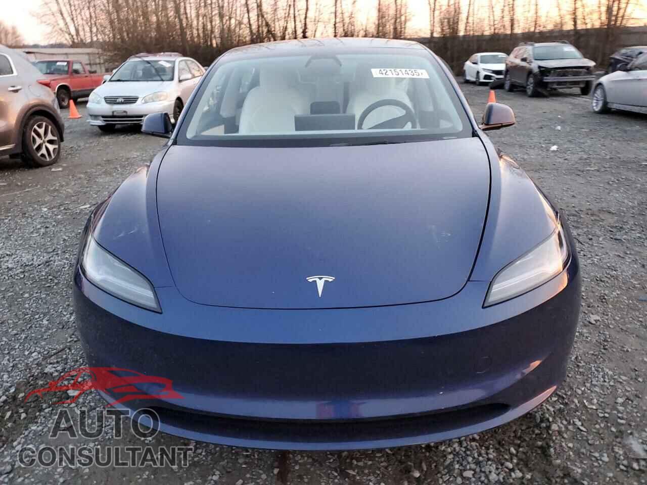 TESLA MODEL 3 2025 - 5YJ3E1EA5SF893938