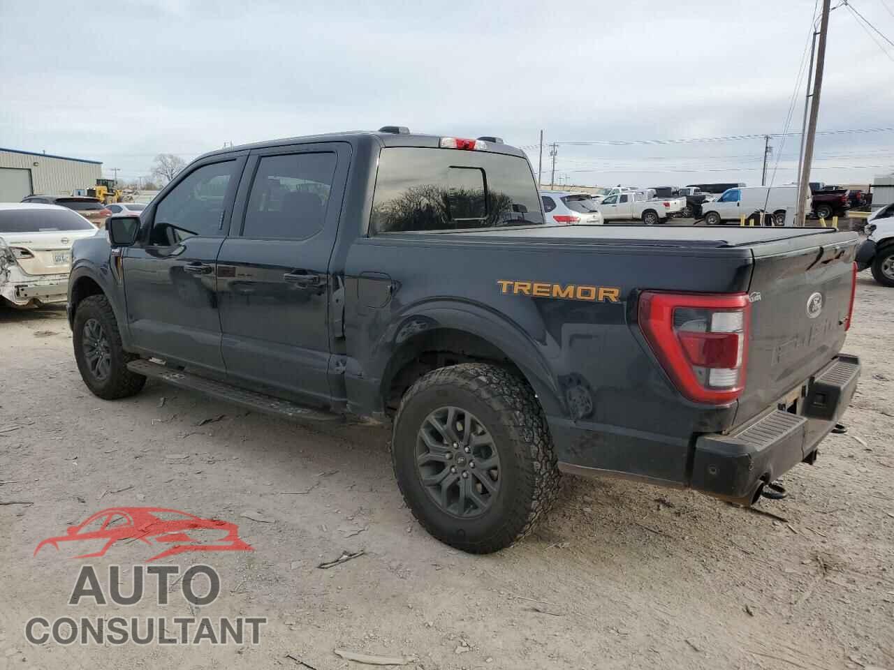 FORD F-150 2022 - 1FTEW1E86NFC36195