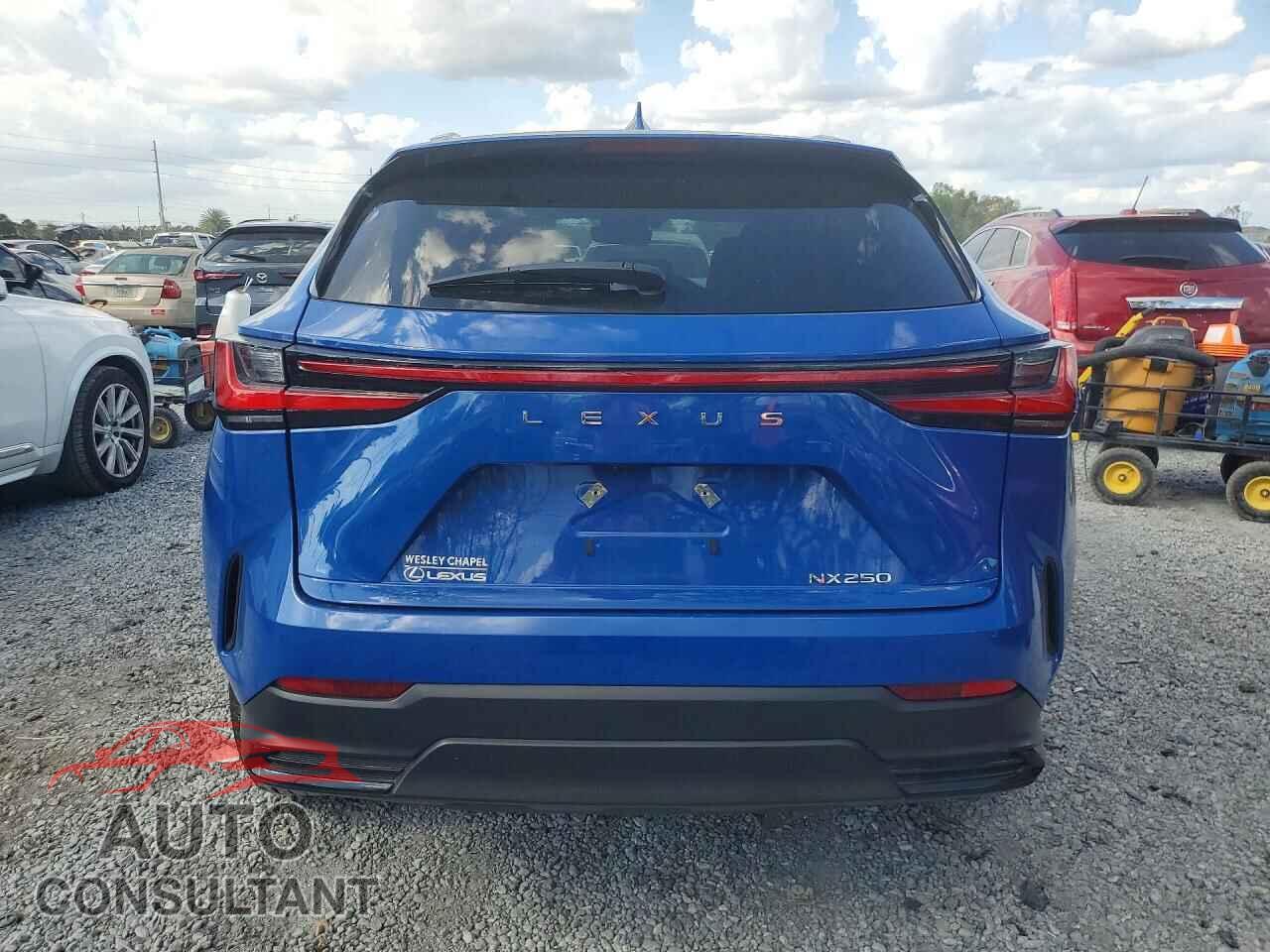 LEXUS NX 2025 - 2T2ADCAZ9SC017570