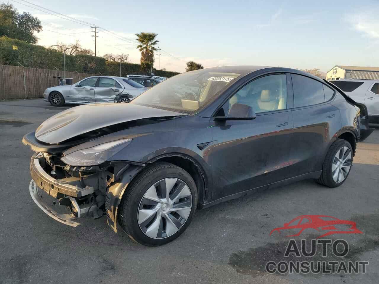 TESLA MODEL Y 2024 - 7SAYGDEE6RF013752