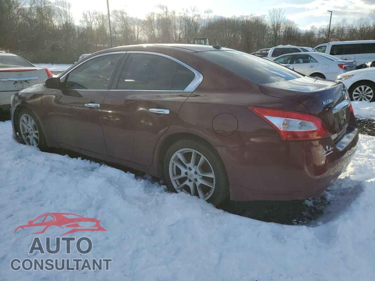 NISSAN MAXIMA 2011 - 1N4AA5AP9BC824516