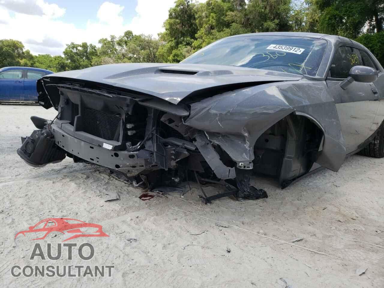 DODGE CHALLENGER 2019 - 2C3CDZAG7KH656393