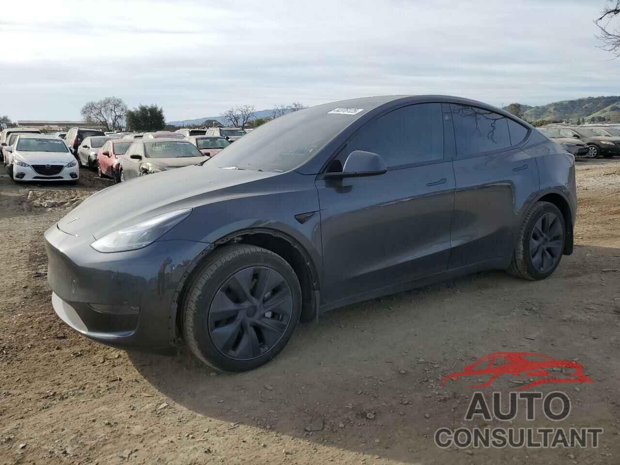 TESLA MODEL Y 2024 - 7SAYGDED5RF105278