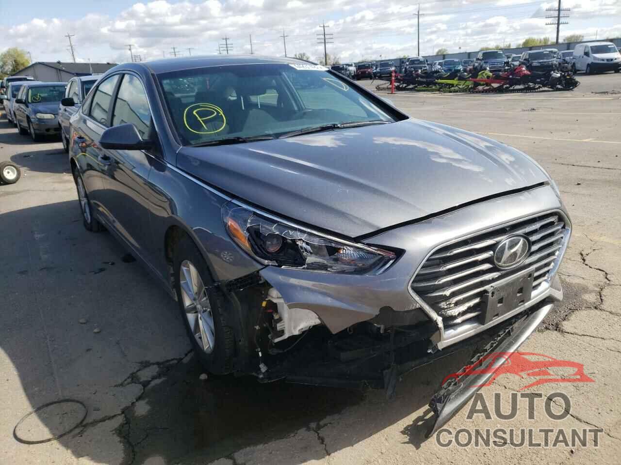 HYUNDAI SONATA 2019 - 5NPE24AF4KH800641