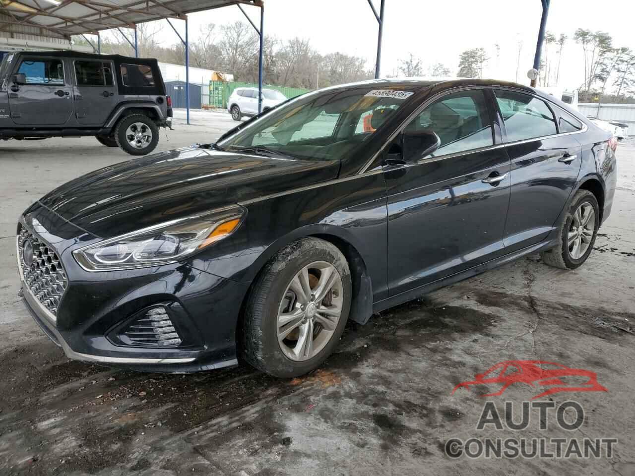 HYUNDAI SONATA 2019 - 5NPE34AF8KH803572