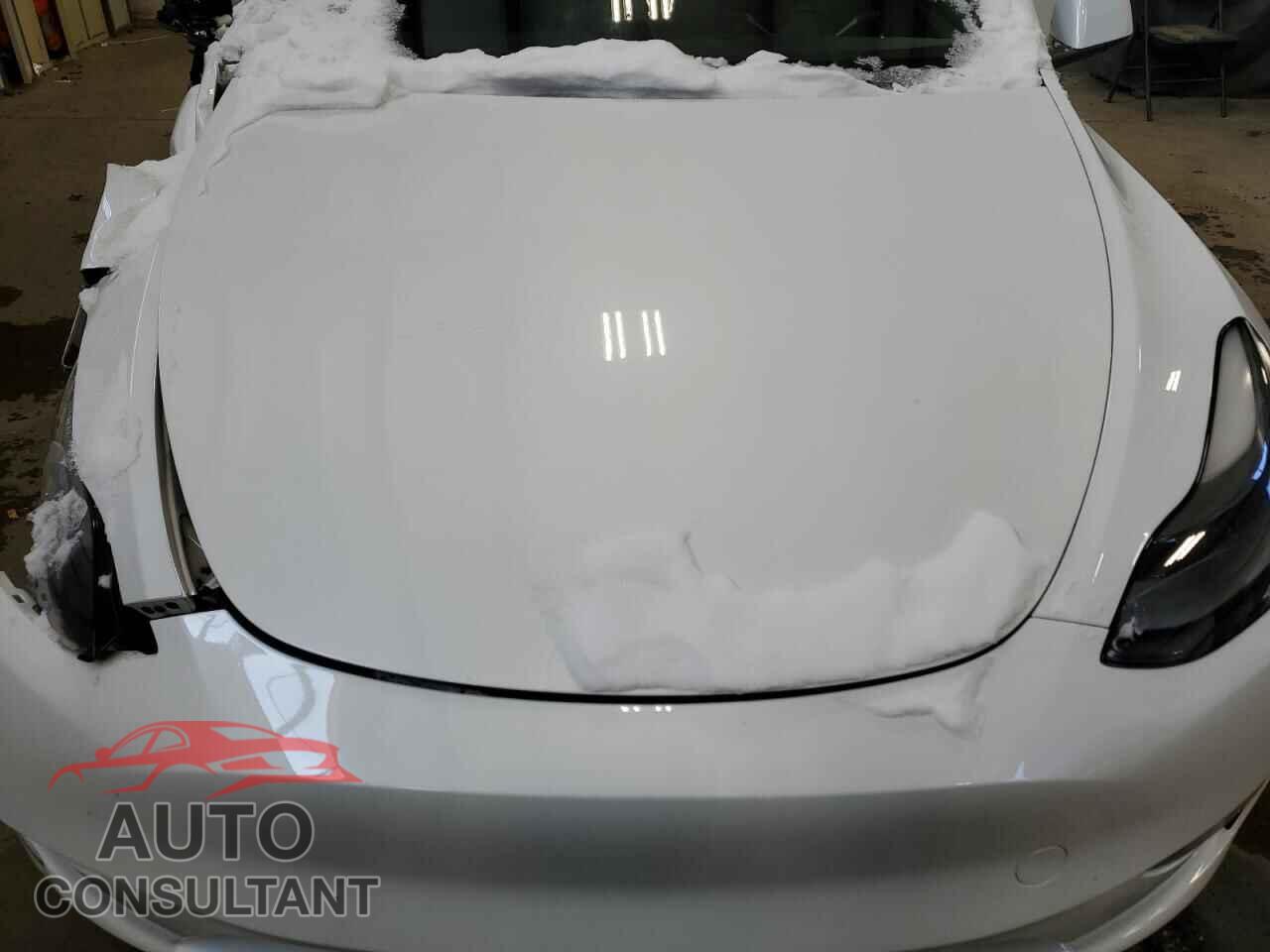 TESLA MODEL Y 2023 - LRWYGDEF6PC967429