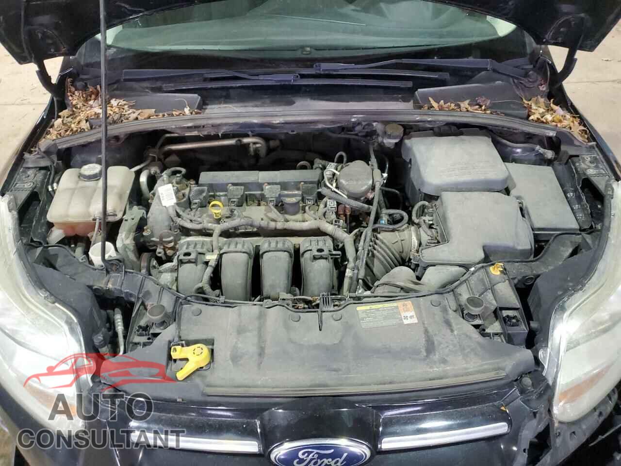 FORD FOCUS 2012 - 1FAHP3M20CL421589