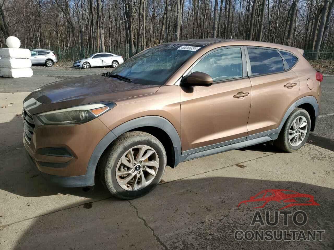 HYUNDAI TUCSON 2016 - KM8J23A49GU032235