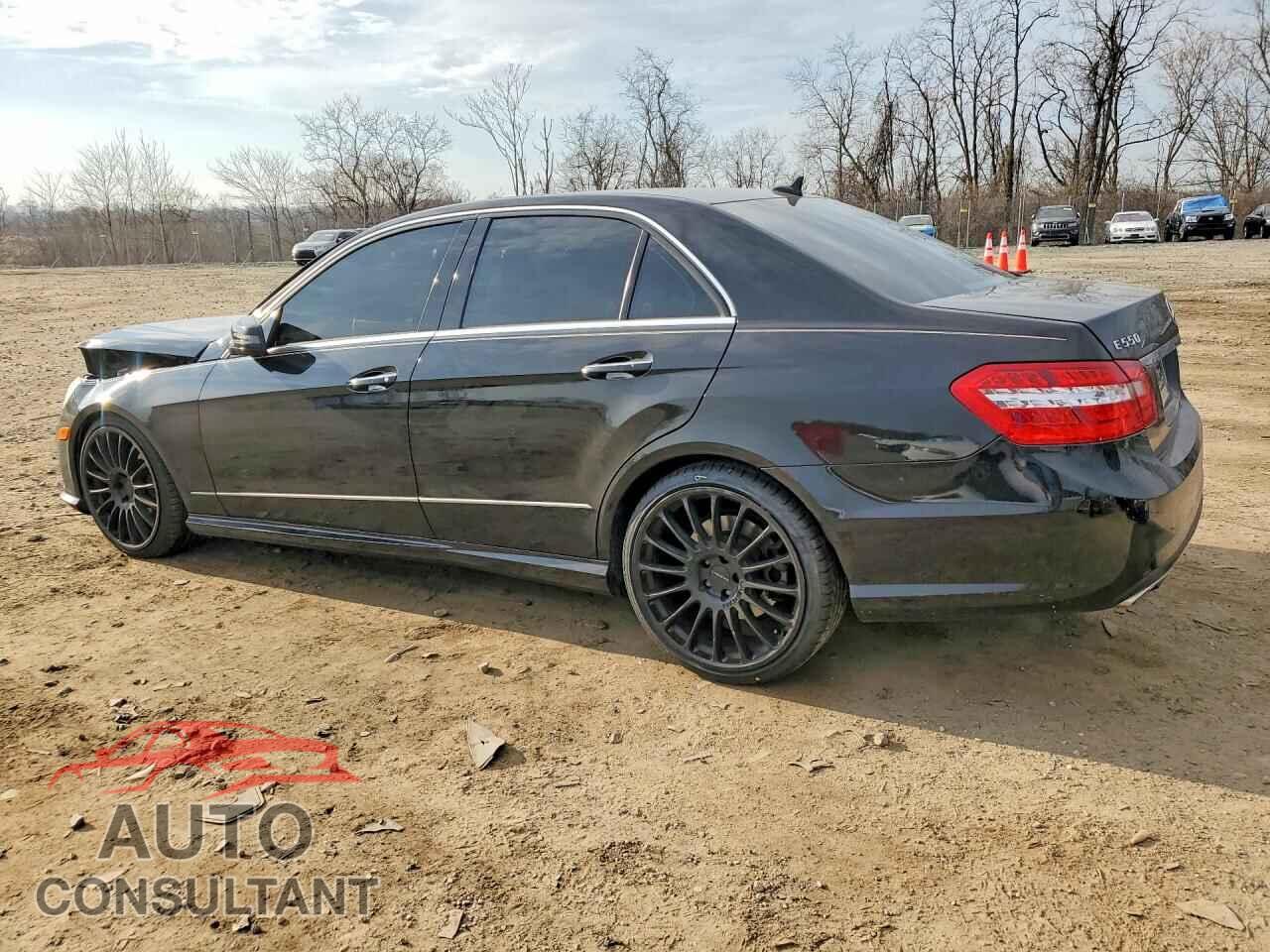 MERCEDES-BENZ E-CLASS 2010 - WDDHF9AB6AA082842