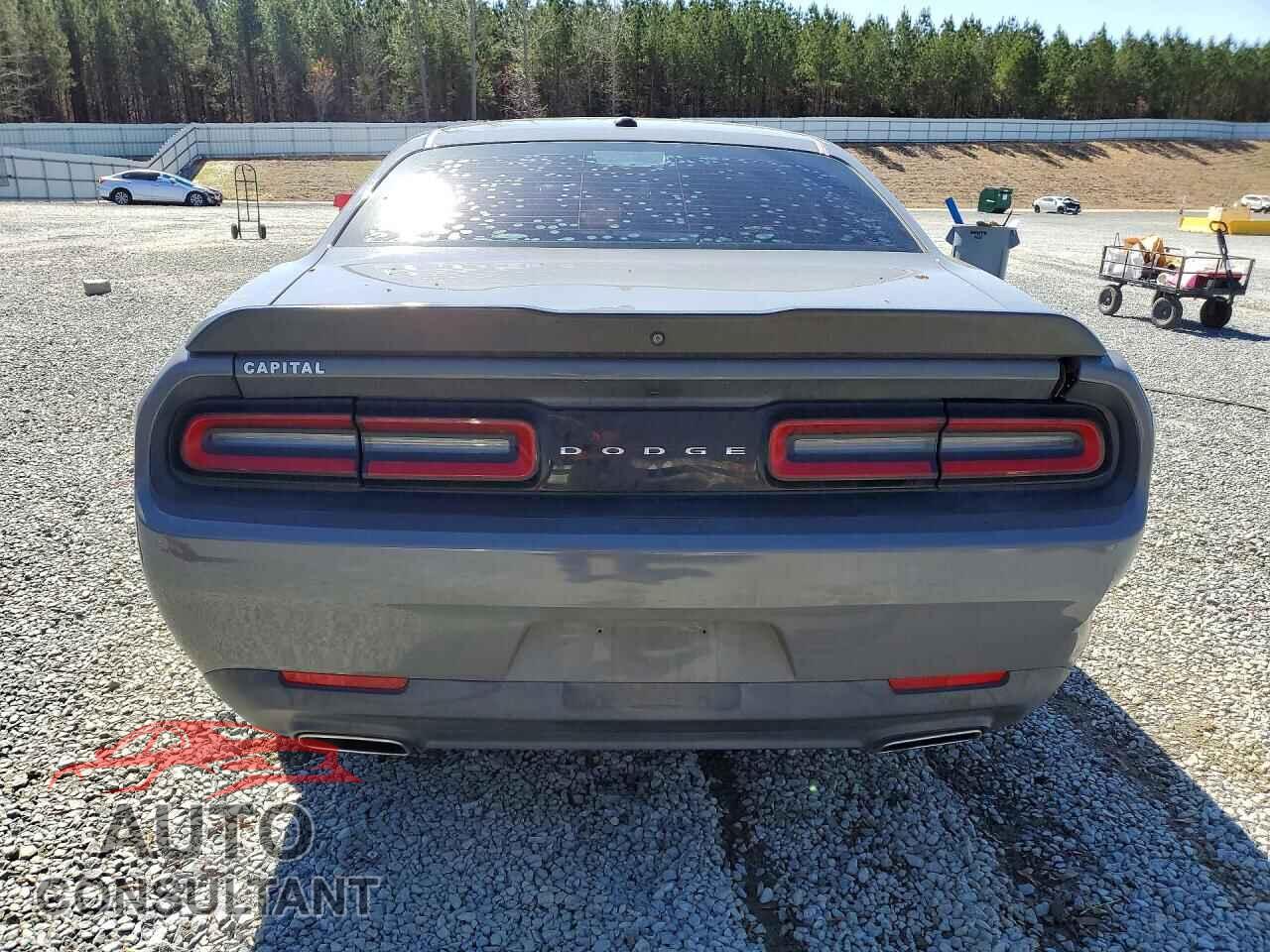 DODGE CHALLENGER 2019 - 2C3CDZAG9KH509069