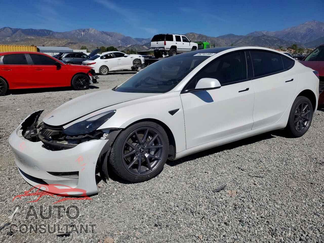 TESLA MODEL 3 2021 - 5YJ3E1EA8MF062792