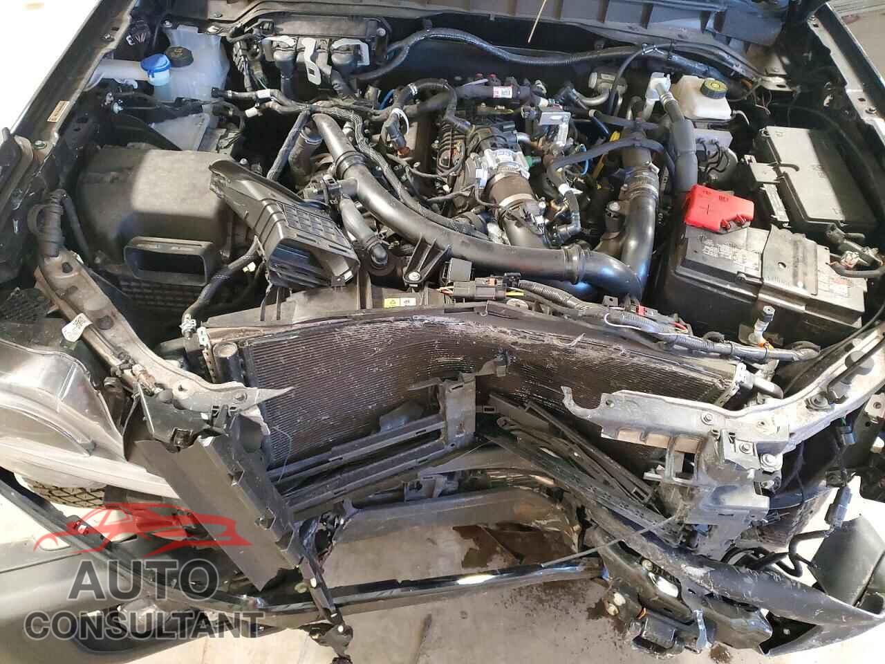FORD BRONCO 2023 - 1FMEE5DP0PLB11504