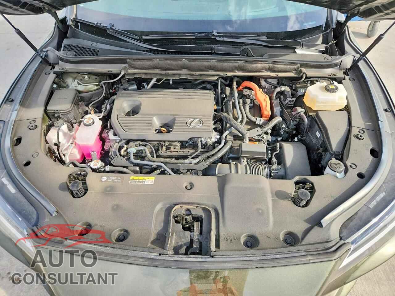 LEXUS UNKNOWN 2024 - 2T2BBMCA4RC061820