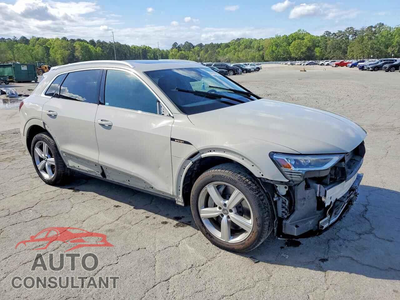 AUDI E-TRON 2019 - WA1LAAGE0KB024074