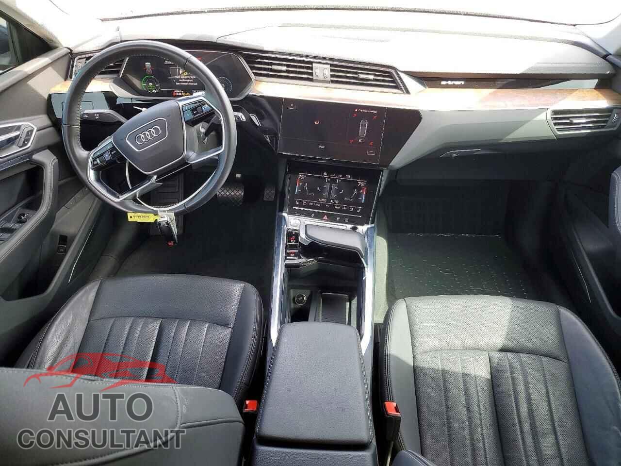 AUDI E-TRON 2019 - WA1LAAGE1KB023001