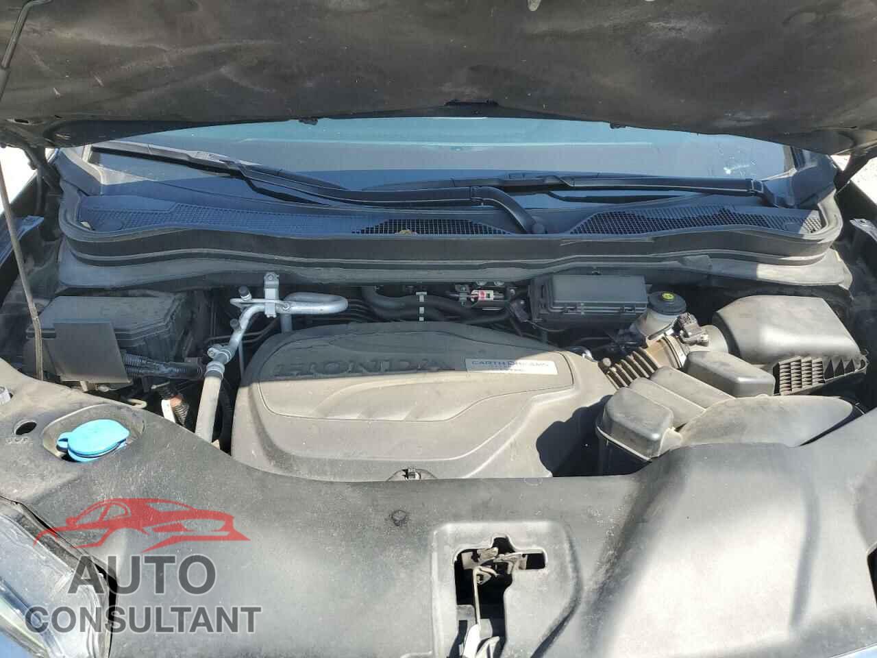 HONDA PILOT 2019 - 5FNYF6H0XKB015909