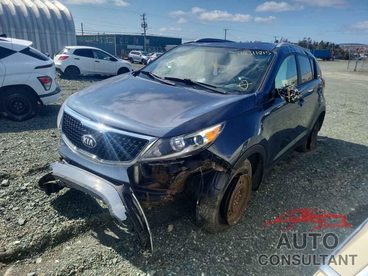 KIA SPORTAGE 2016 - KNDPBCAC6G7841776