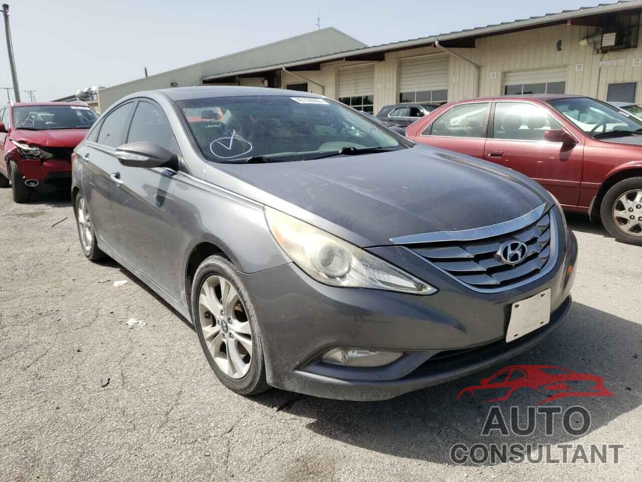 HYUNDAI SONATA 2019 - 5NPEC4AC3BH163972