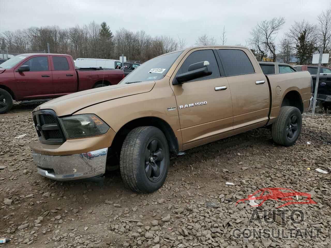 DODGE All Models 2011 - 1D7RV1CT0BS618209