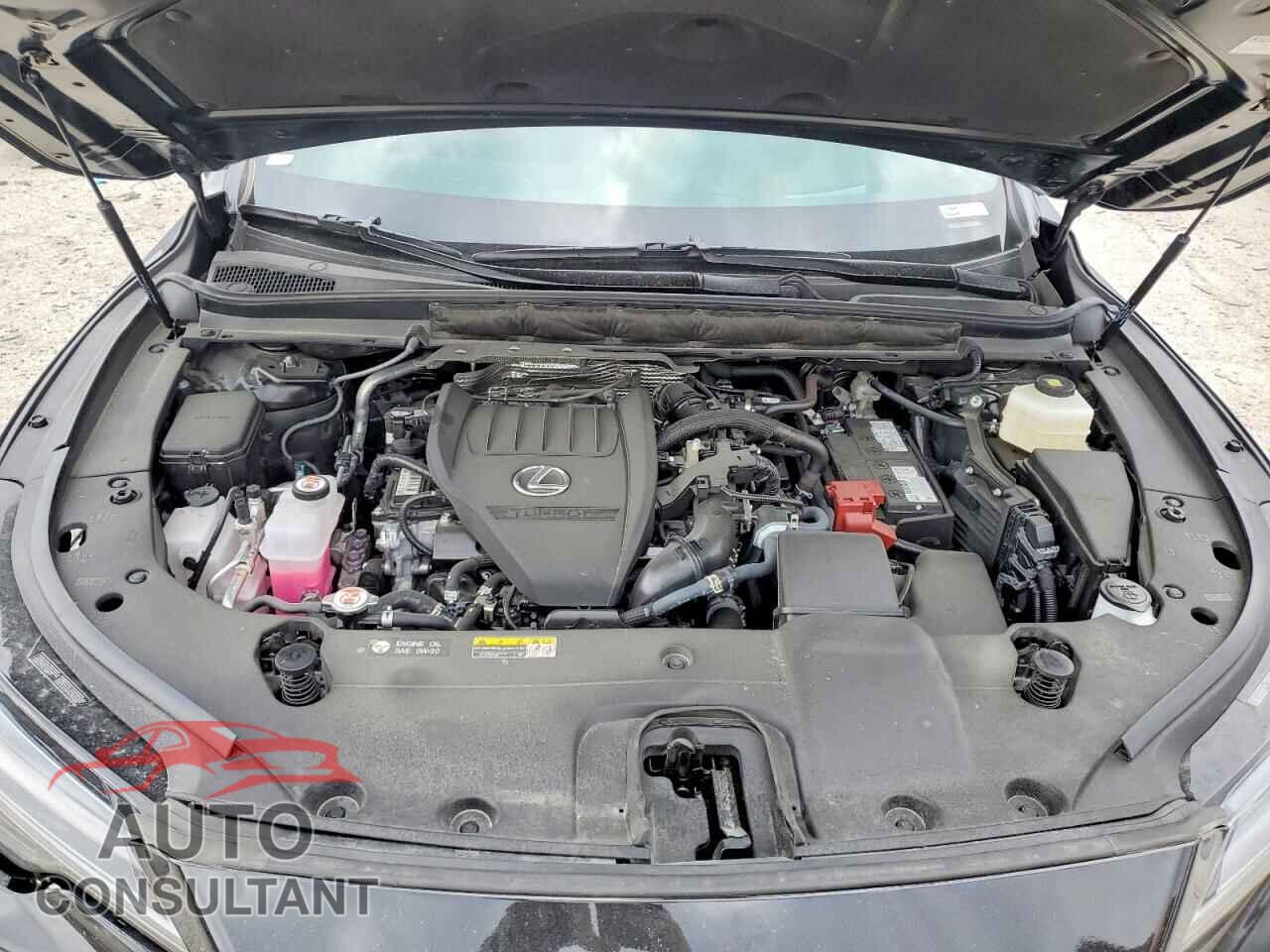 LEXUS RX350 2024 - 2T2BAMCA3RC088770