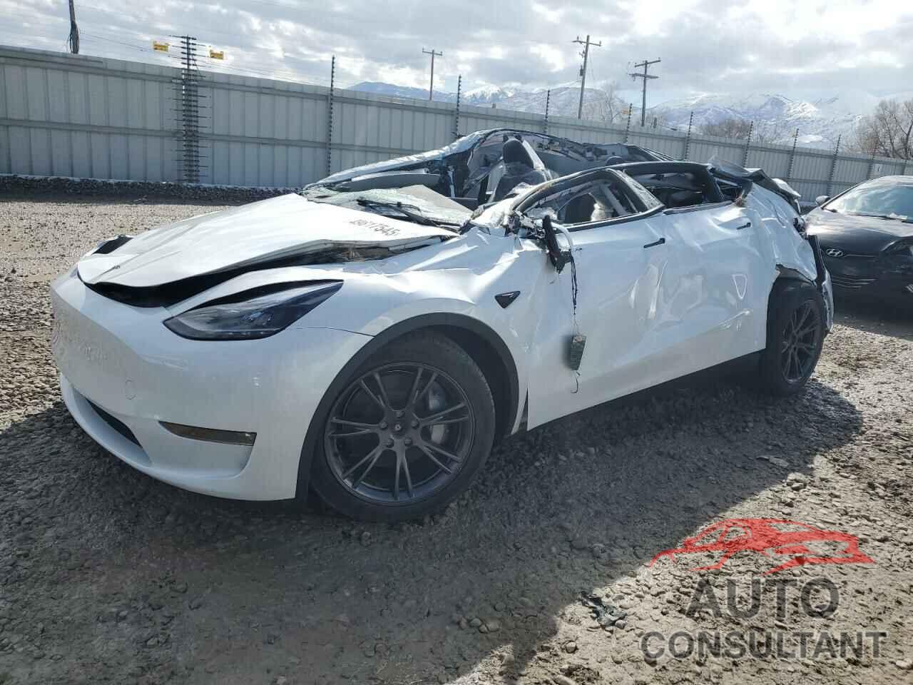 TESLA MODEL Y 2025 - 7SAYGAEE8SF307609