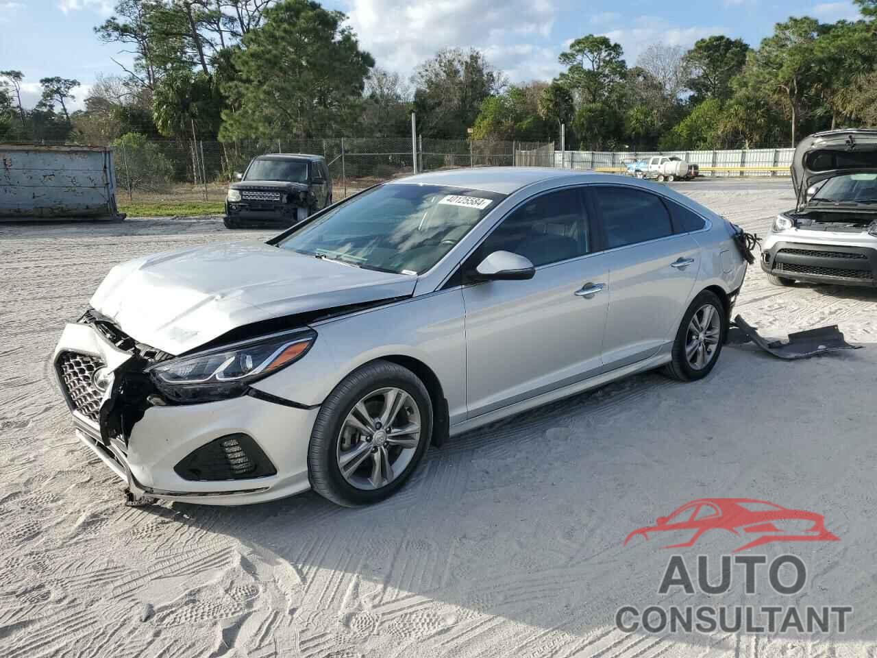 HYUNDAI SONATA 2019 - 5NPE34AF8KH781704