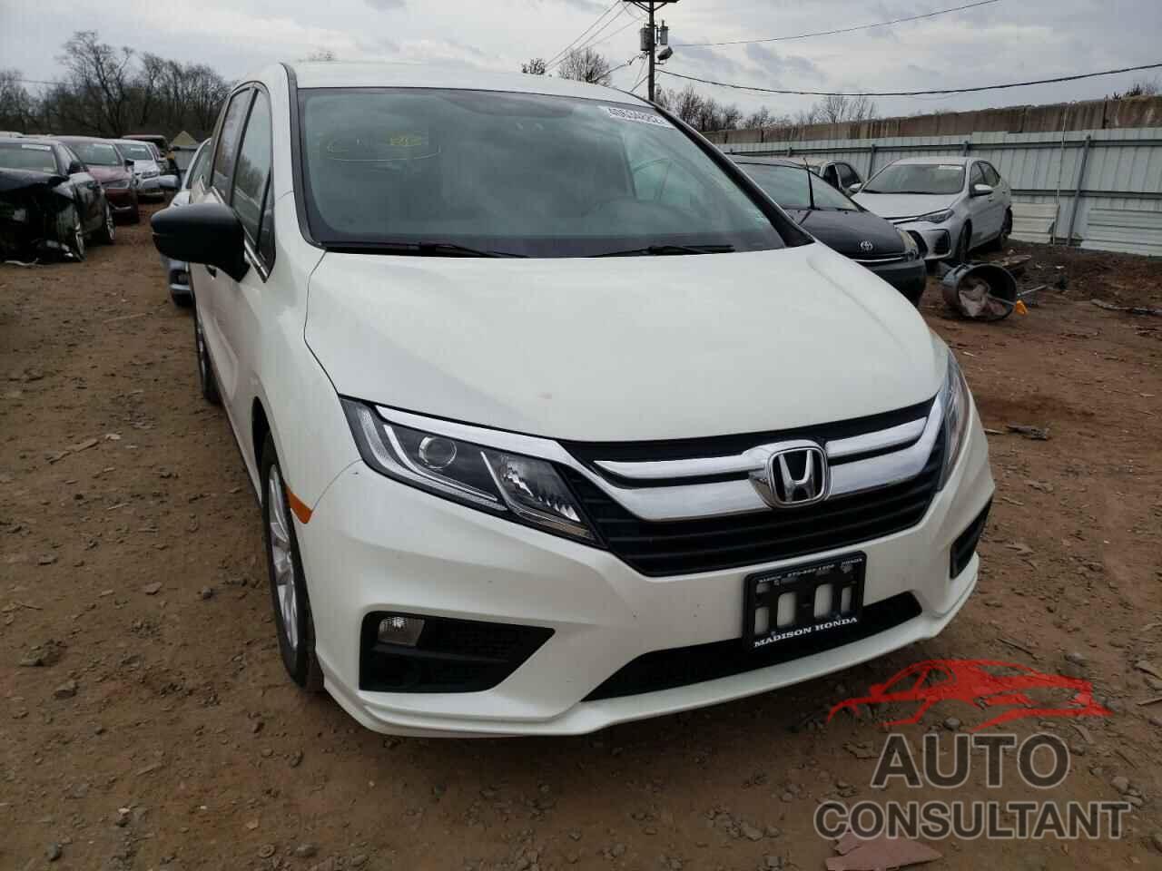 HONDA ODYSSEY 2019 - 5FNRL6H25KB030753