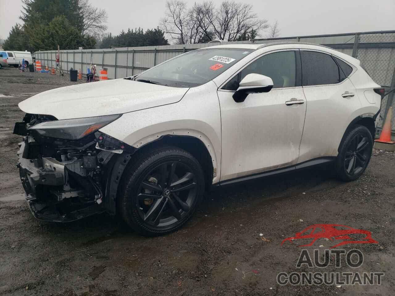 LEXUS NX 450H 2022 - JTJHKCFZ6N2009427