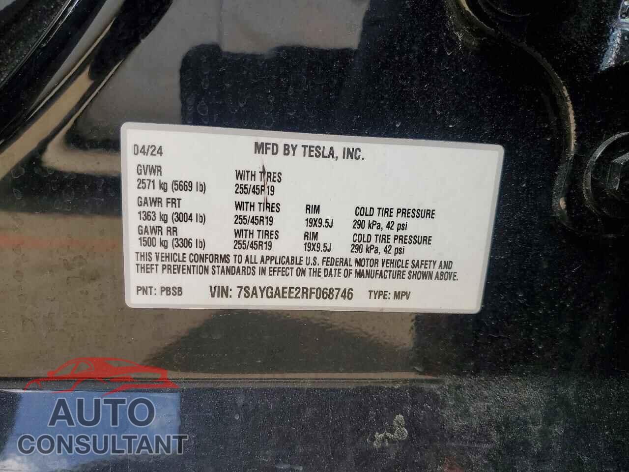 TESLA MODEL Y 2024 - 7SAYGAEE2RF068746