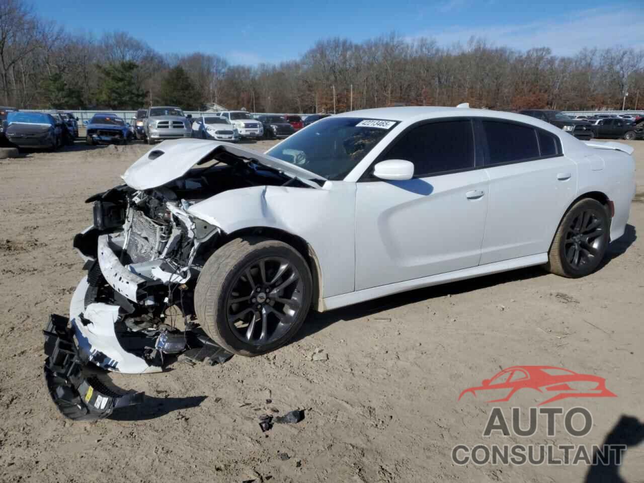 DODGE CHARGER 2021 - 2C3CDXCT8MH642374