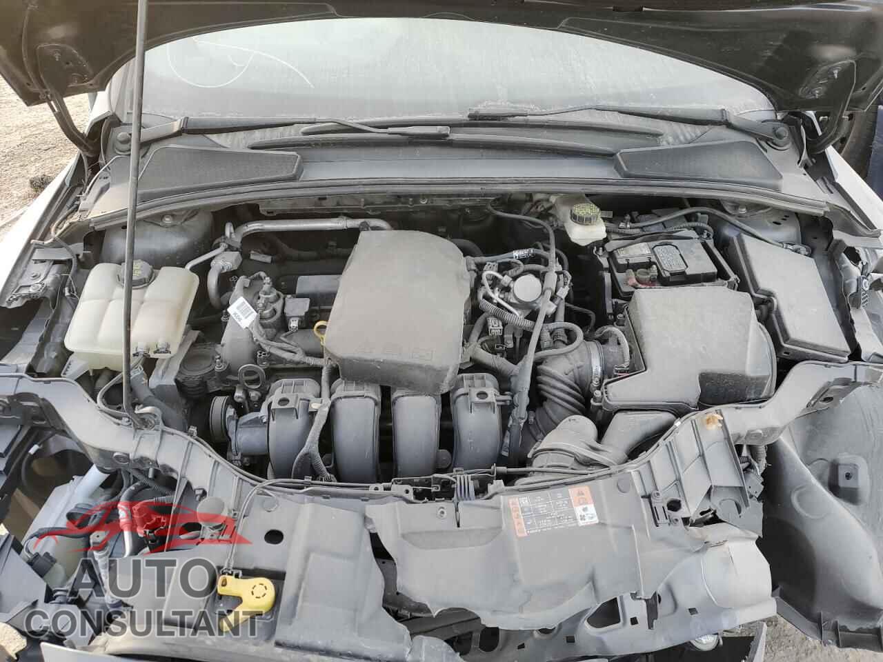 FORD FOCUS 2017 - 1FADP3E25HL301856