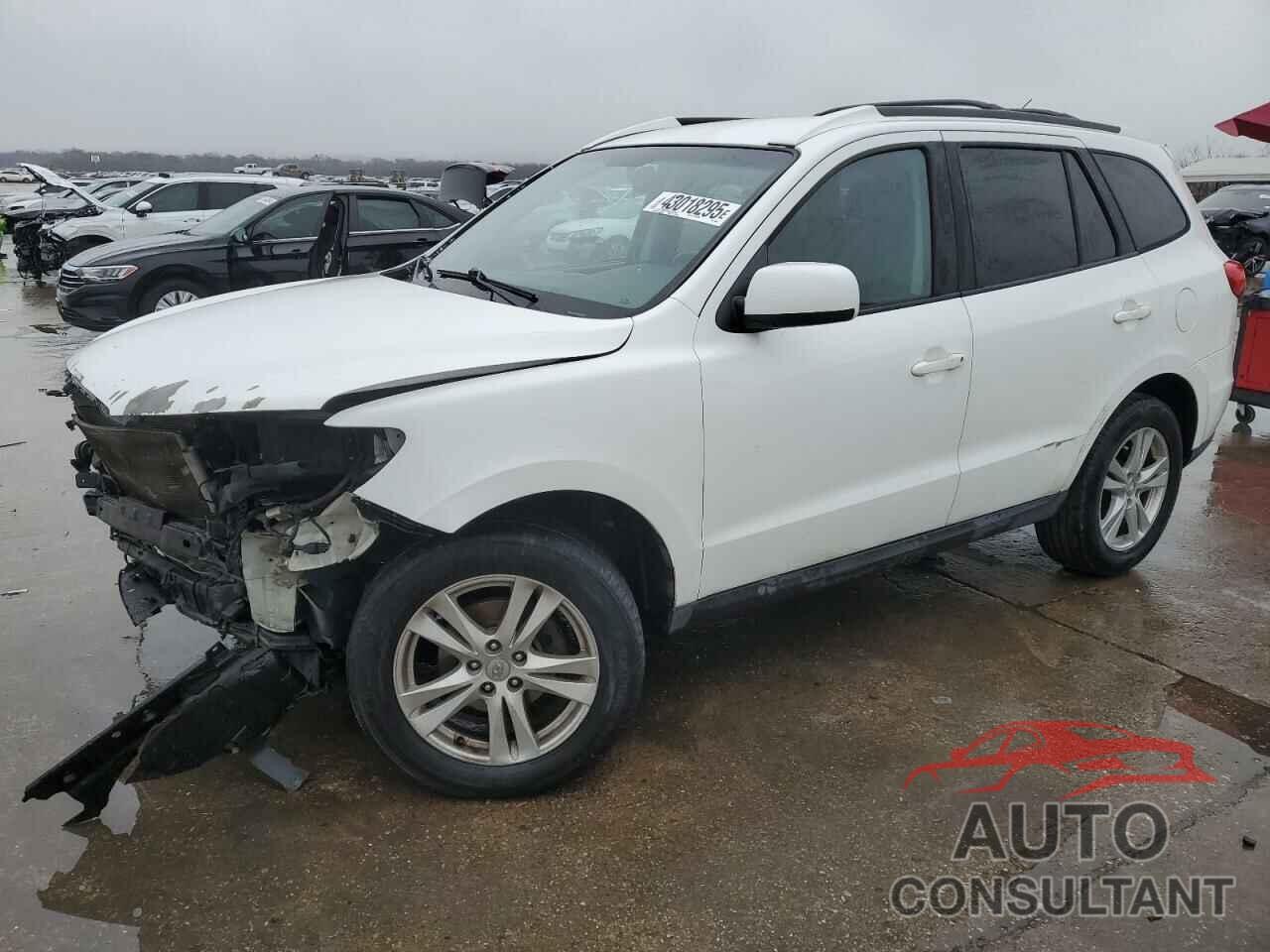 HYUNDAI SANTA FE 2010 - 5NMSH4AG4AH345330