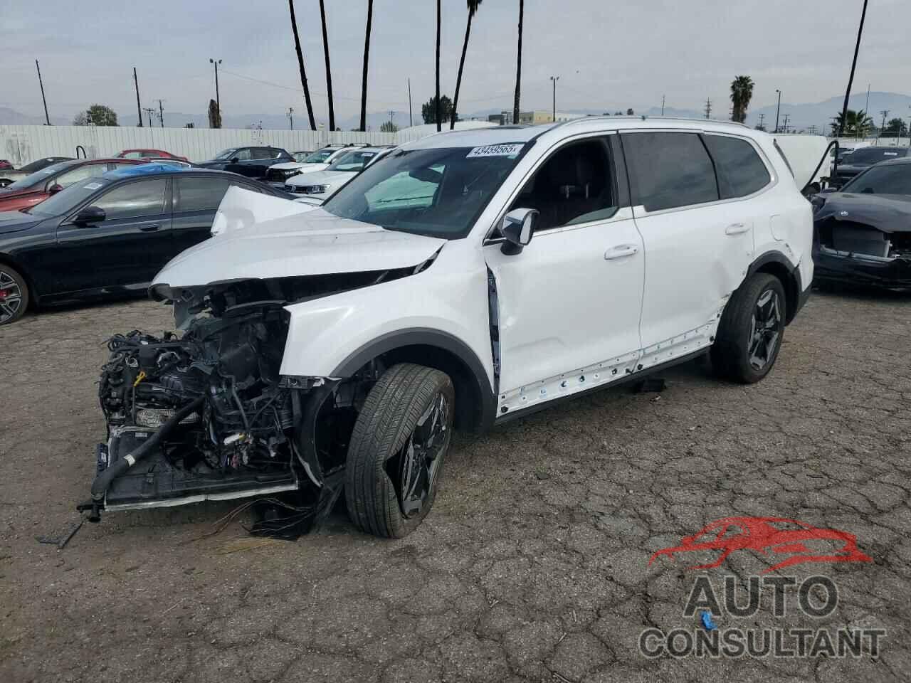 KIA TELLURIDE 2023 - 5XYP3DGC3PG398581