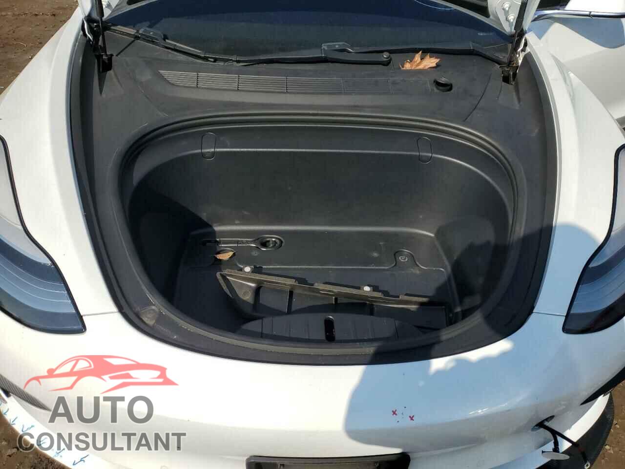 TESLA MODEL 3 2019 - 5YJ3E1EA8KF483456