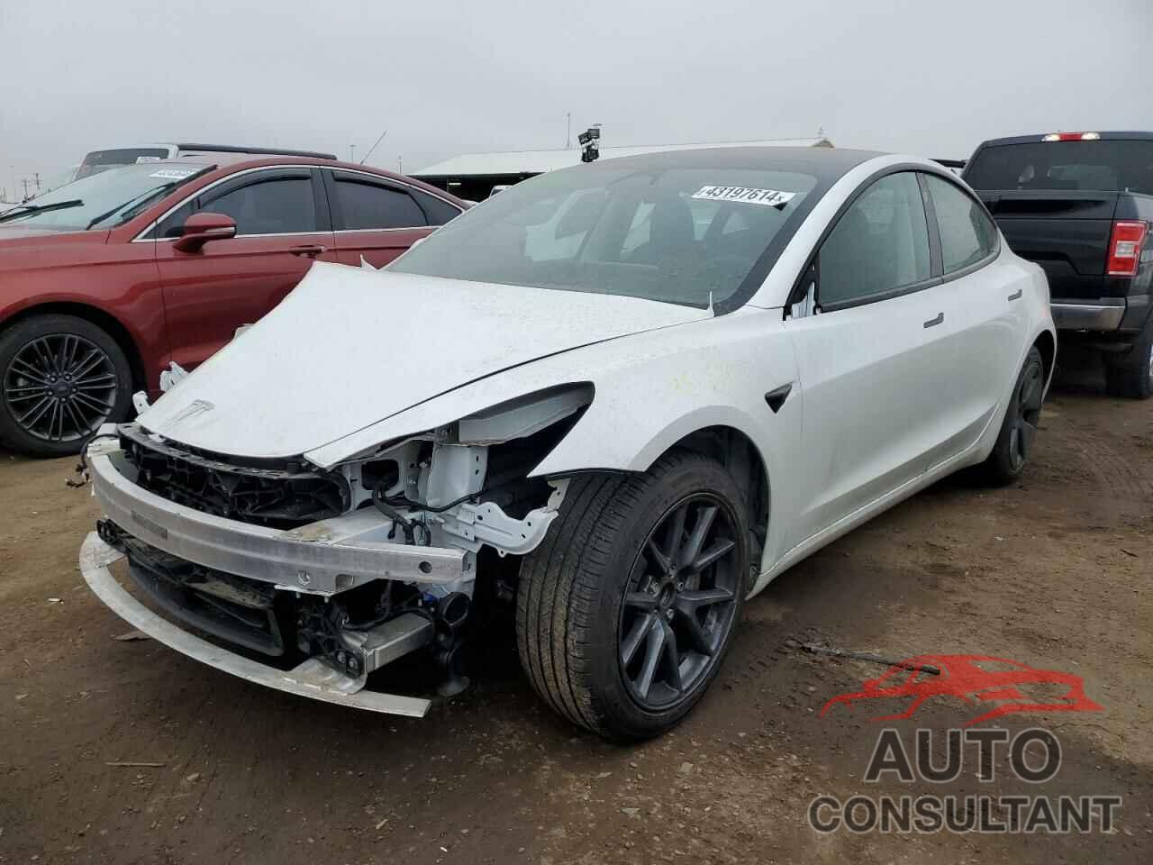TESLA MODEL 3 2023 - 5YJ3E1EAXPF557452