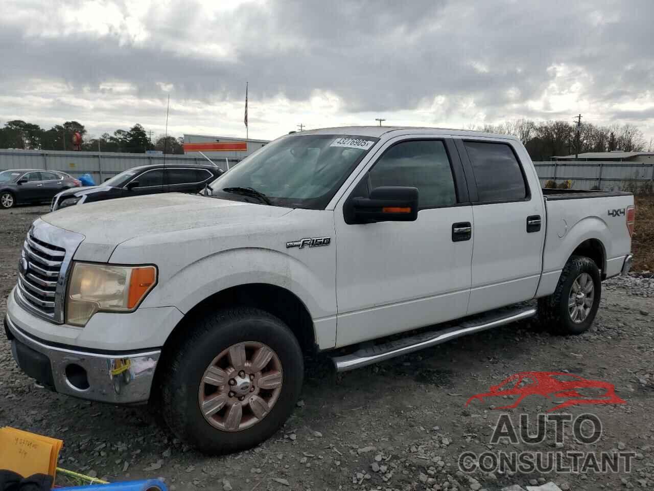 FORD F150 2010 - 1FTFW1EV0AFB76158