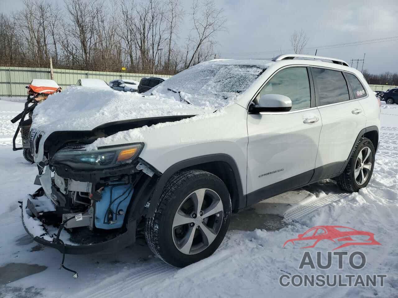 JEEP GRAND CHER 2019 - 1C4PJMDX1KD385395
