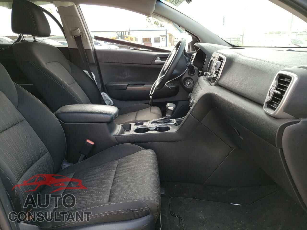 KIA SPORTAGE 2017 - KNDPM3AC7H7173840