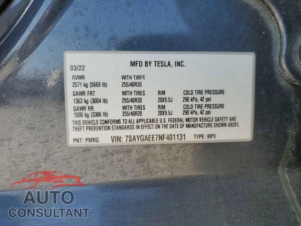 TESLA MODEL Y 2022 - 7SAYGAEE7NF401131
