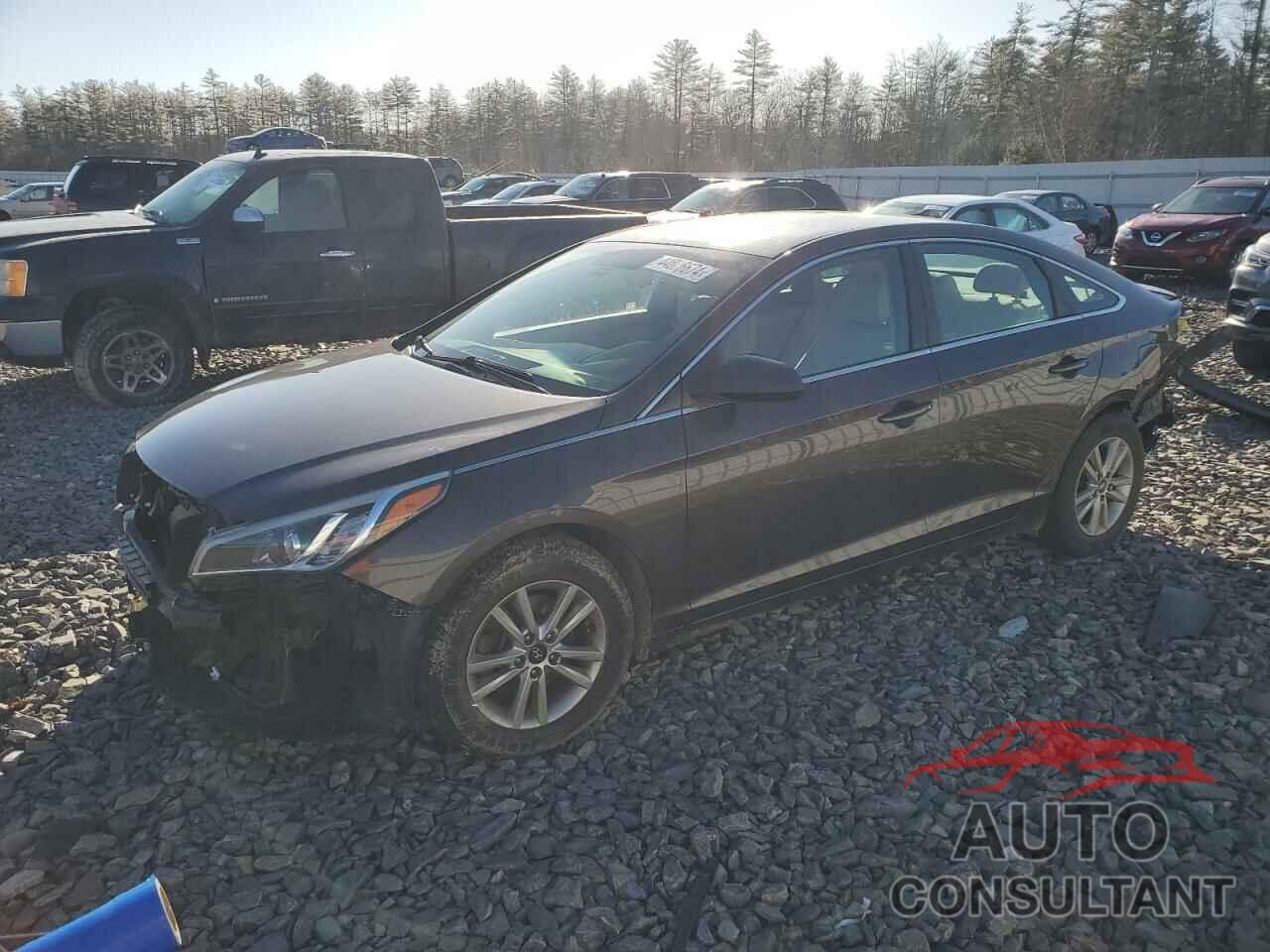 HYUNDAI SONATA 2016 - 5NPE24AF9GH276412