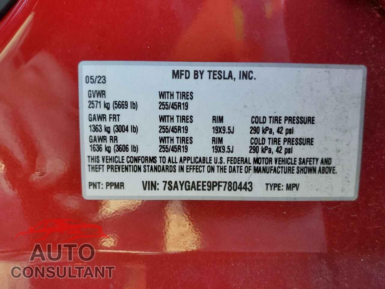 TESLA MODEL Y 2023 - 7SAYGAEE9PF780443